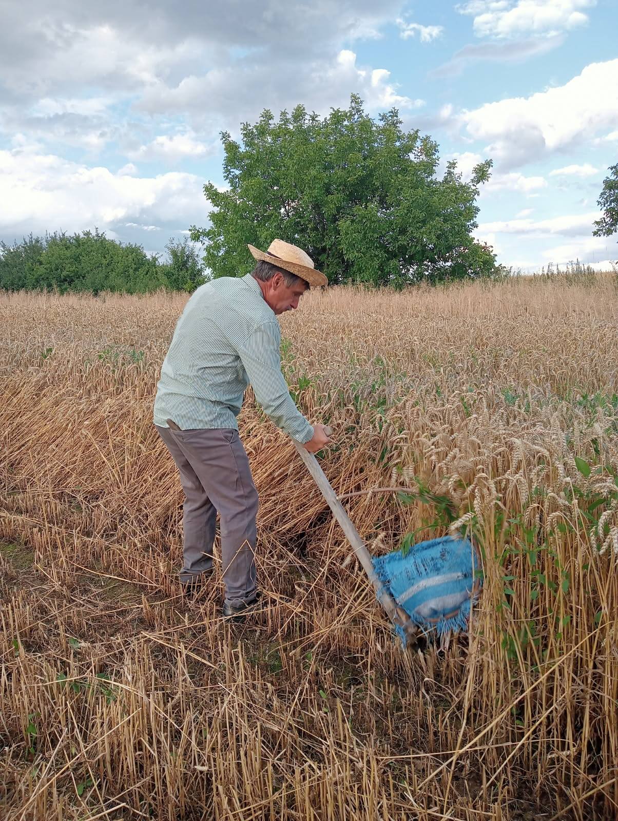 Zażynki w Rozięcinie 2025